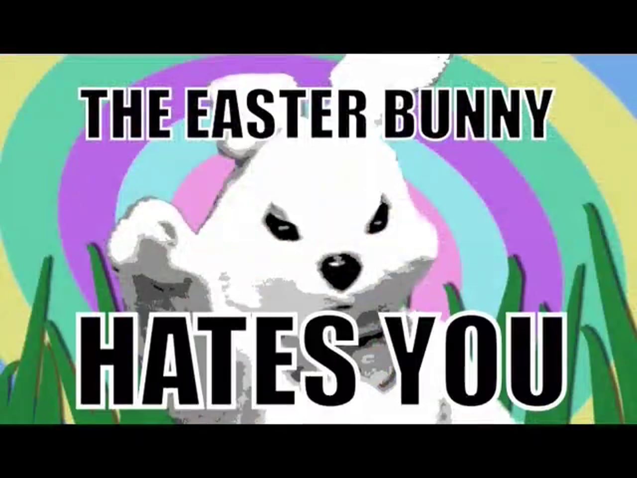 Bunny